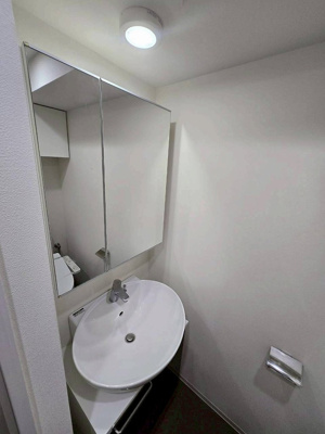 【独立洗面台】 | ディアレイシャス東京ベイ潮見