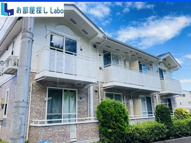 ペルレトゥルムＡの画像