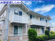 ペルレトゥルムＡの画像