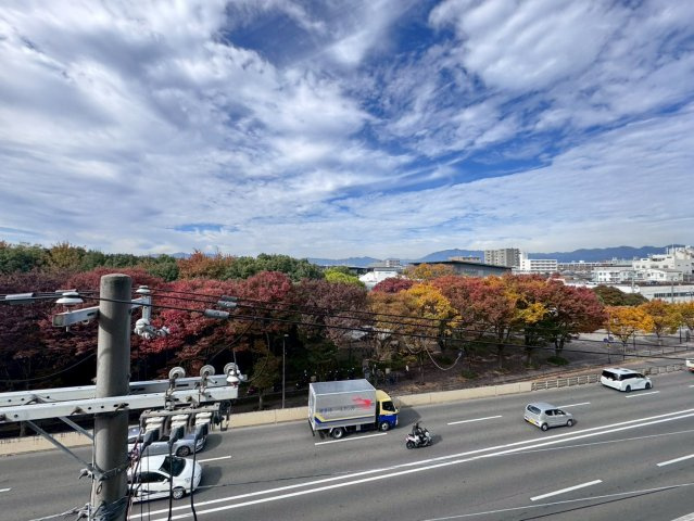 「梅小路京都西」駅徒歩９分◆リフォーム済み２ＬＤＫ住戸◆シンフォニー梅小路公園の展望|南面洋室からの展望