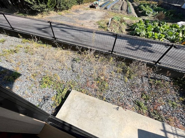 エントピア小山　A