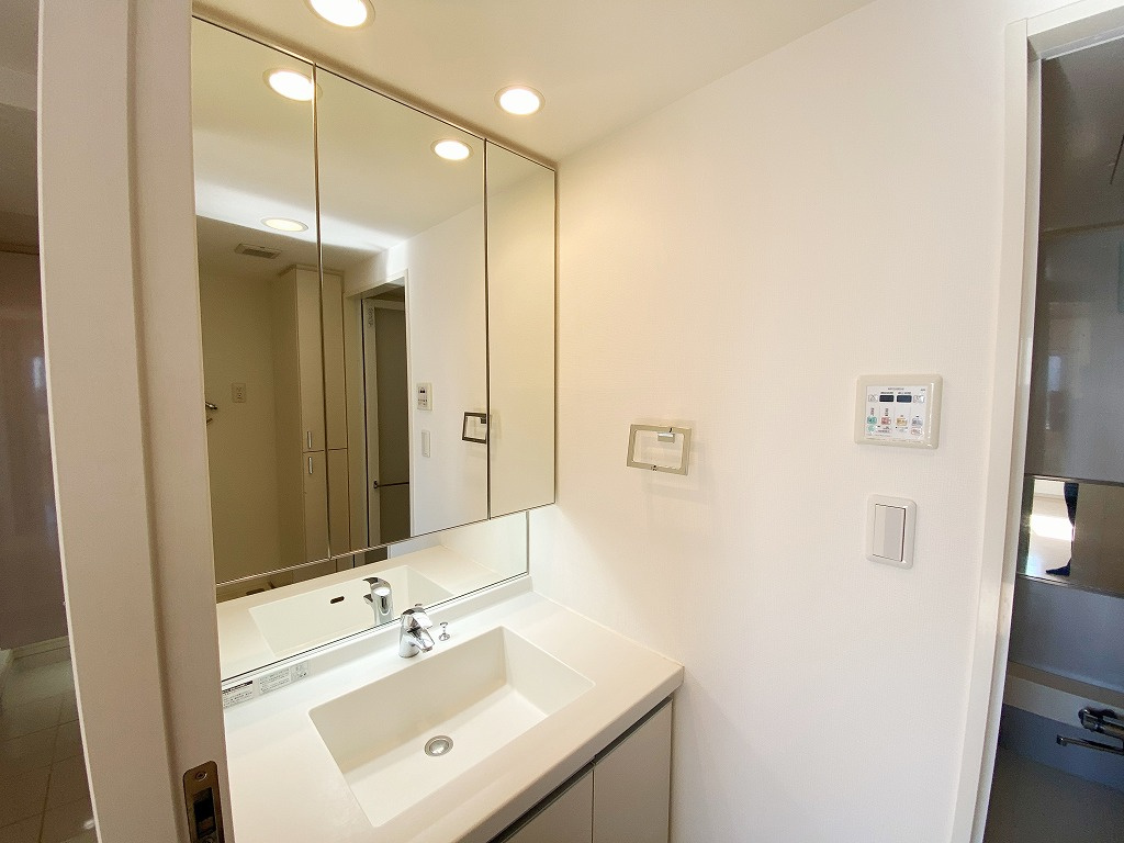 さいたま市南区別所３丁目の賃貸マンションの洗面所