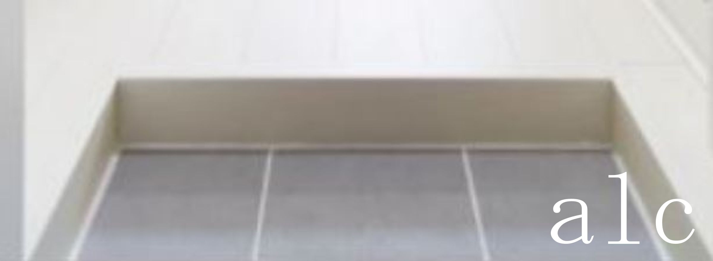 フォース新小岩の玄関|収納もある玄関です