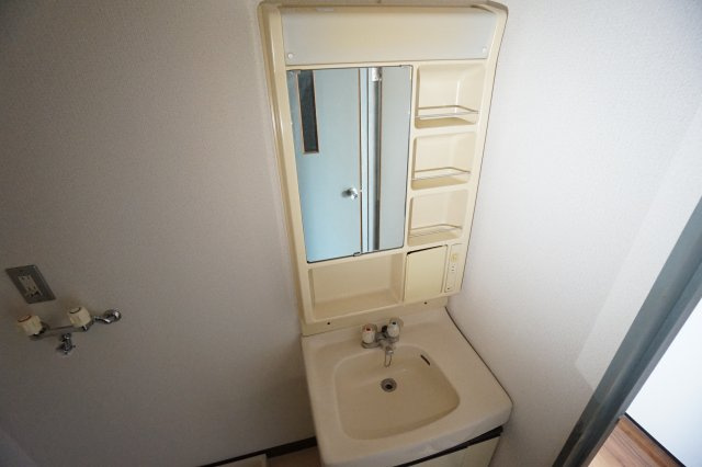 シャルム文京の洗面所