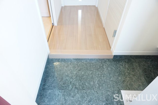 熊本市中央区世安１丁目の賃貸マンションの玄関