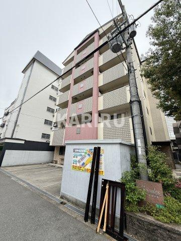 プレアデス東中本