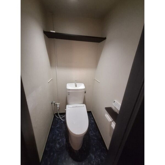 ダンディビルのトイレ