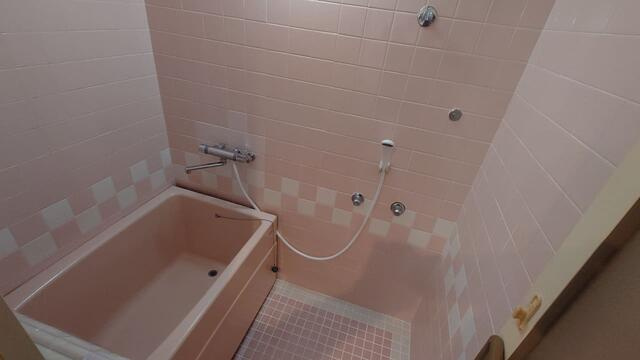 シャンボール読売ランド前２号棟の浴室