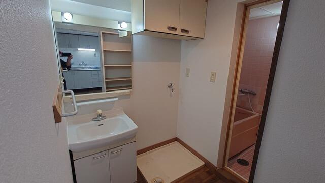 シャンボール読売ランド前２号棟の洗面所