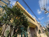 カーザ・クレアトーレの画像