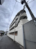 サフラン木下の画像