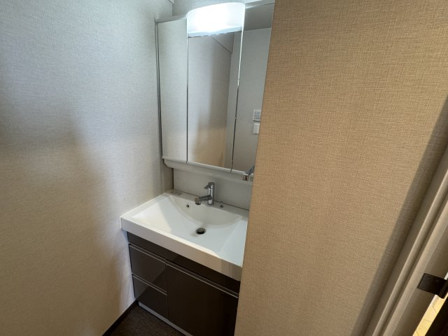 豊中市岡上の町１丁目の賃貸マンションの独立洗面台