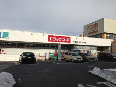 【周辺】 | グリーンリバー泉台Ａ | ドラッグスギ中妻店まで970m