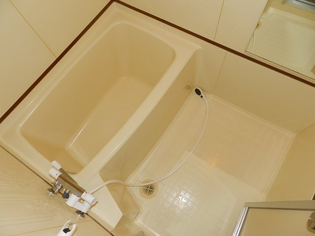 ハイツコスコンの浴室