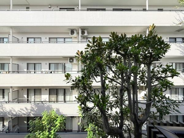 Ｌａ　Ｐｅｒｌａ　Ｎａｋａｎｏのその他