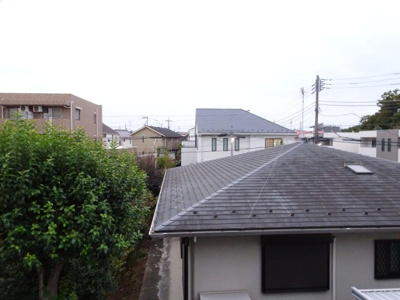 【展望】 | TerraceTamias