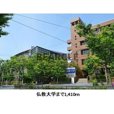 【周辺】 | ヴィラ・グレイスⅡ