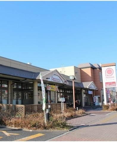 クォーツハウスの周辺|大丸ピーコックまで1100m