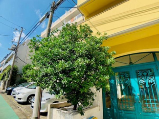 【その他】 | カーザ・クレアトーレ