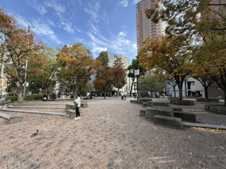 【周辺】 | 大阪ひびきの街ザ・サンクタスタワー | 新町北公園には防災倉庫が設置されています。