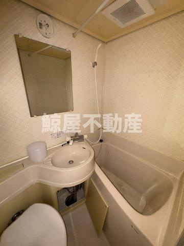 タウンハイツ銀座の洗面所