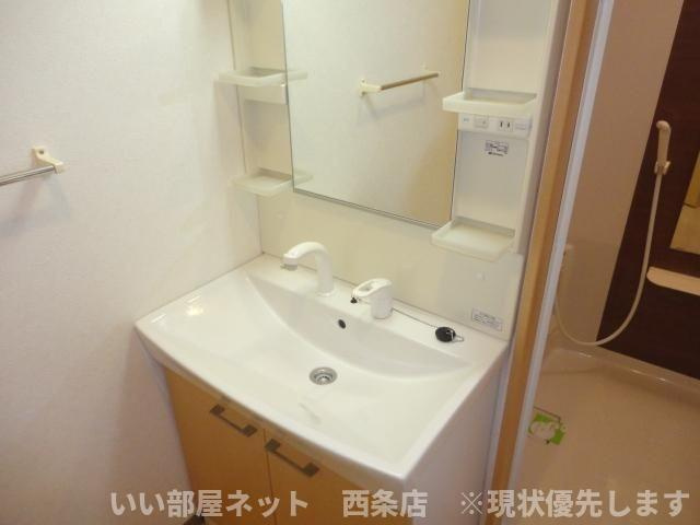 プランドール萩生の洗面所