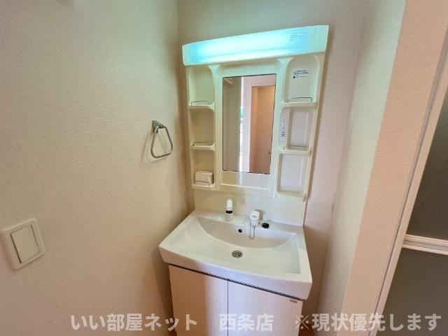 ディアコートの洗面所