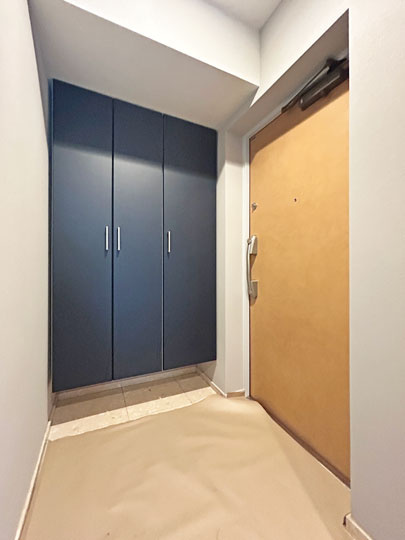 ダイアパレスアプティ八乙女中央の玄関