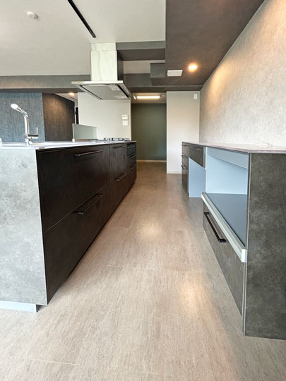 ダイアパレスアプティ八乙女中央のキッチン