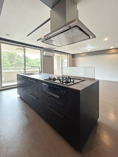 ダイアパレスアプティ八乙女中央のキッチン