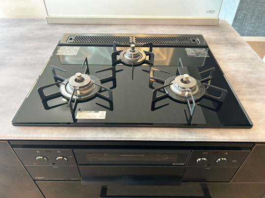 ダイアパレスアプティ八乙女中央のキッチン