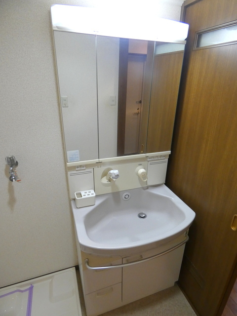 ヴェルドミール桜上水の洗面所|シャンプードレッサー