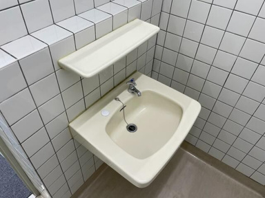 【洗面所】 | フェミナスウィステリア