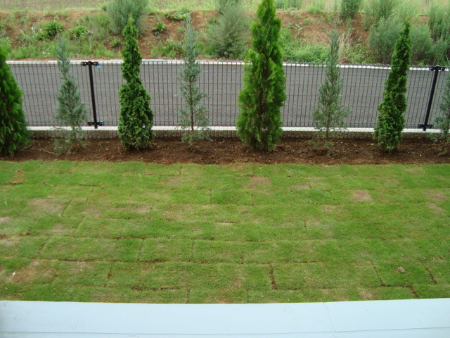 ゴールドクローバー（GOLD　CLOVER)の庭|専用庭