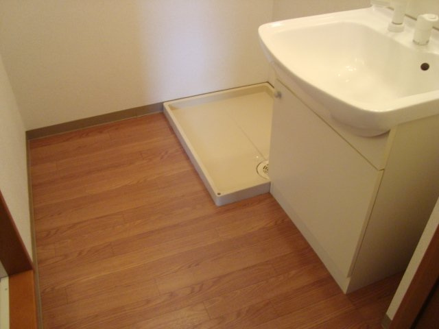 シュノンソーのその他|脱衣所