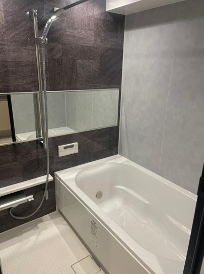 デュオ・スカーラ西新宿のトイレ