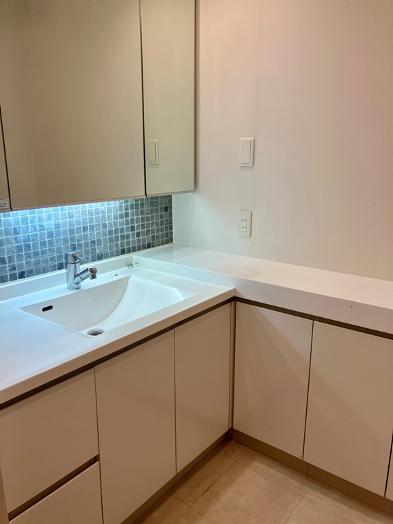 ルフォン世田谷の洗面所