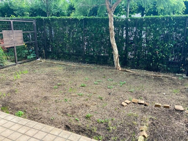 ルフォン世田谷の庭