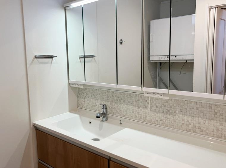 緑が丘西戸建の洗面所