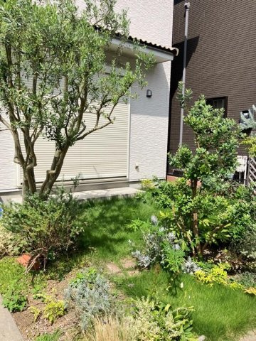 緑が丘西戸建の庭