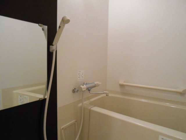 レオネクストブラウニー国立の浴室