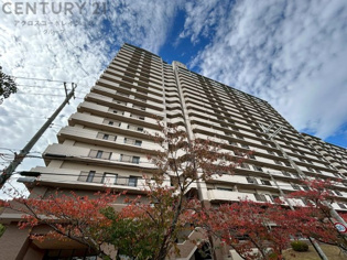 当日見学可能ですので、見学希望の際はお気軽にお問い合わせください。ネットからの見学予約も便利です♪