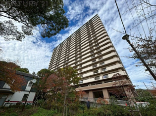 鉄骨鉄筋コンクリート造20階建て