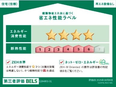 ラ　ヴィーダ　ヌエバのその他