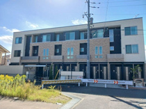 ライトスプリングＢの画像