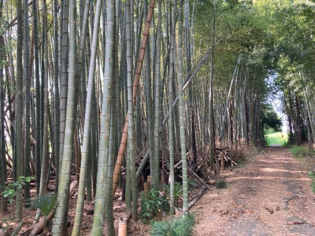 つくば市沼崎土地の周辺