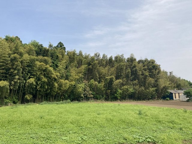 つくば市沼崎土地の外観