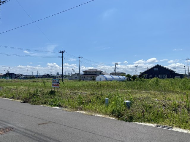 金田西売地の前面道路含む現地写真