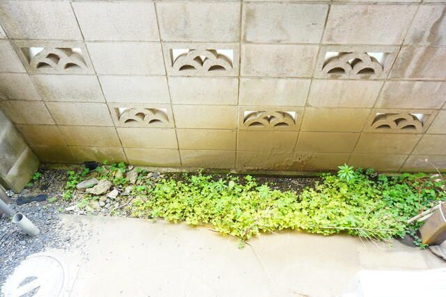 第二三菱荘の庭