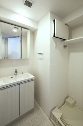 DIPS日暮里2の洗面所